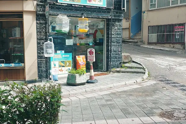 Gemlik Discus Akvaryum &amp; Petshop