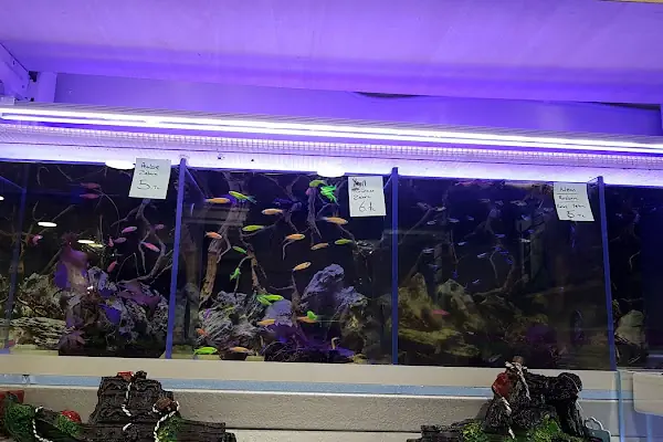 Mercan Pet Shop