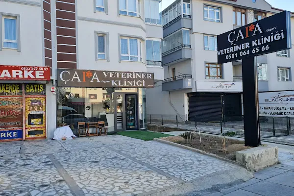 ÇAPA ANGORA VETERİNER KLİNİĞİ MAMAK