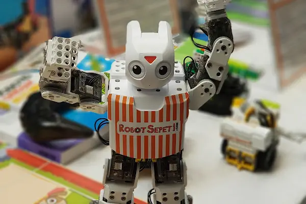 Robot Sepeti