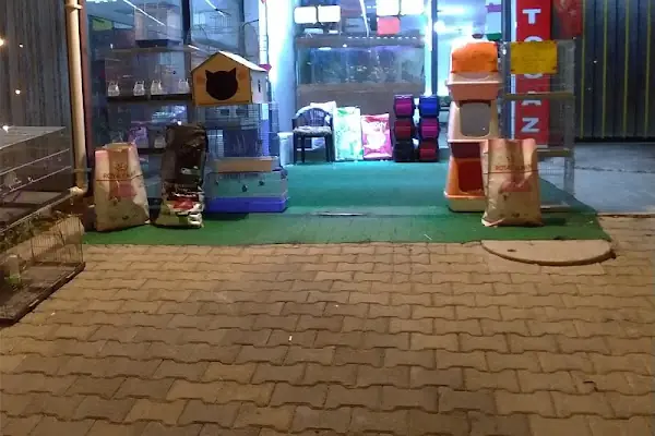 PETSHOP AZELYA