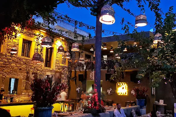 Dutt Bodrum