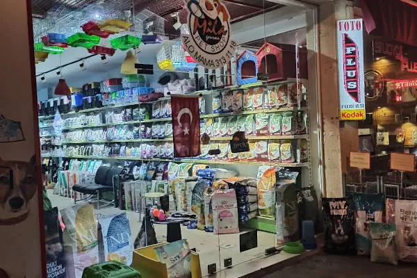 Mila Petshop Alo Mama!