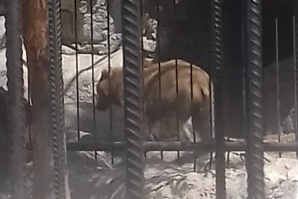 Tarsus Doğa Parkı ve Hayvanat Bahçesi