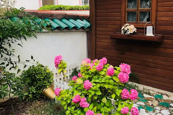 MSY KÜÇÜK EV APART (Heybeliada)