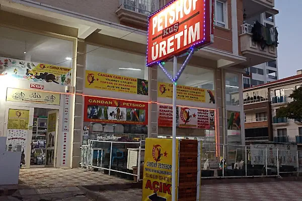 Aydınlıkevler Patilayla Petshop &amp; butik