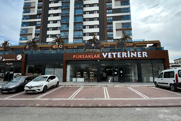 Pursaklar Hayvan Hastanesi ( Pursaklar’ın İlk Veterineri )