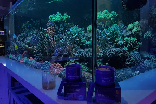 Aqua Reef Central