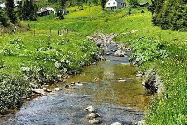N.N.S. Kimya Temizlik Kozmetik Ambalaj Malzemeleri Nakliyat Sanayi Ticaret Ltd. Şti