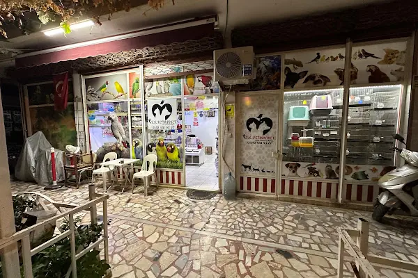 Tk Pet Market