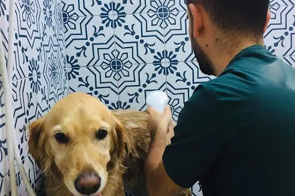 Petonomi Veteriner Kliniği