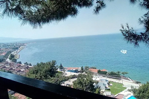 Çamlık Ekmek Ve Pasta Fırını