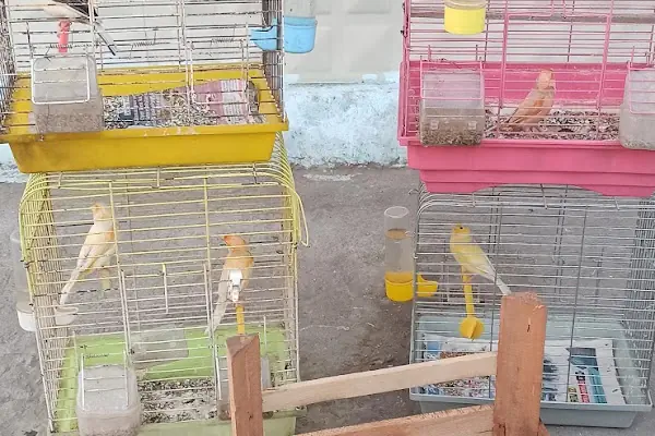 AKBOSTAN PETSHOP