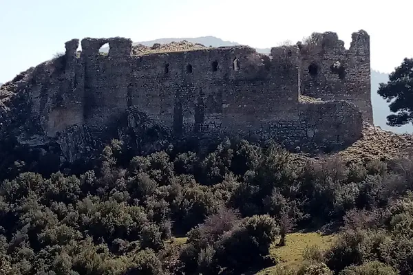 Aliağa Kuş Cenneti