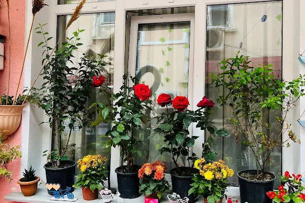 PEMBE PANSİYON BÜYÜKADA