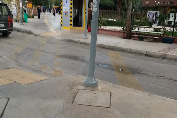Sarmaşık Taksi