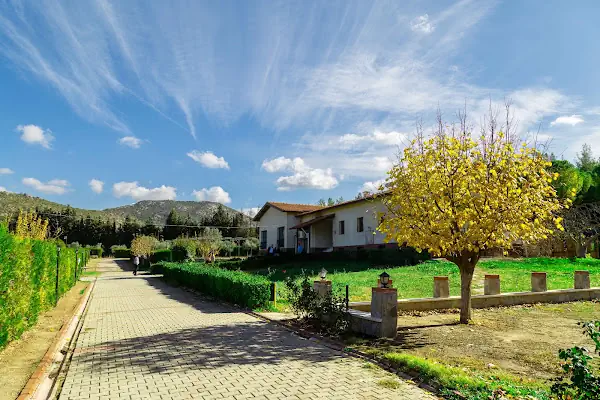 Arvalya Özel Kamp Alanı