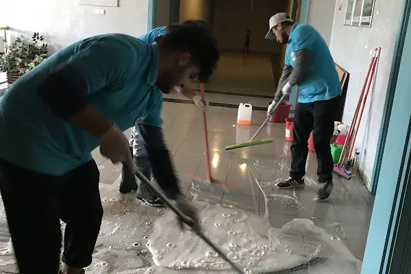 Şirinler Oto & Halı Yikama