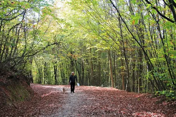 Polonezköy Yürüyüş Parkuru Başlangıcı