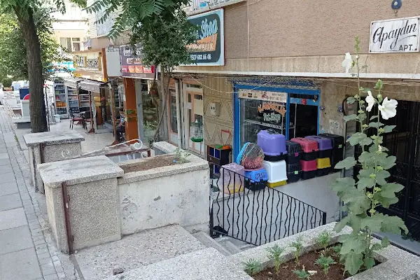 Petshop Kavaklık