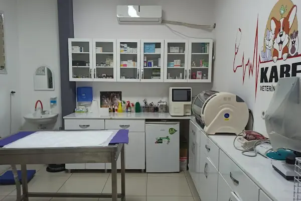 Kare Veteriner Kliniği