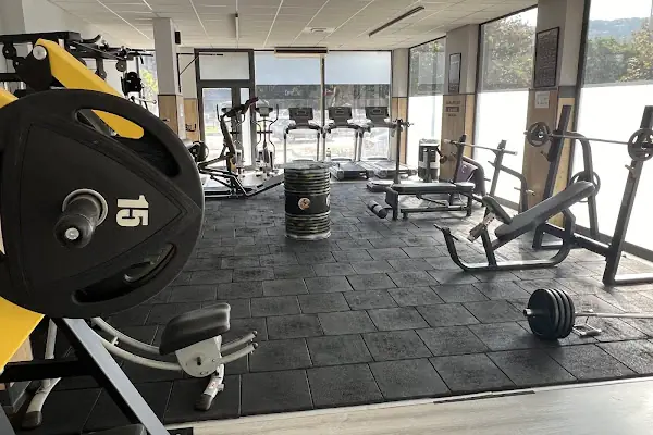 FalconFit