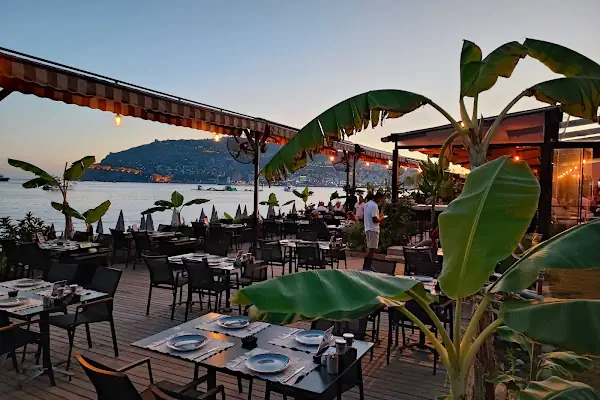 Costa Flamingo Lounge