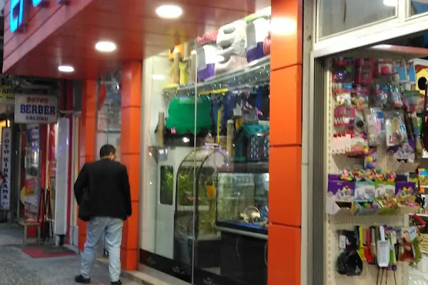Efe Petshop