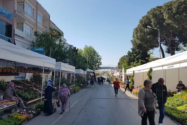 Bayındır Vergi Dairesi