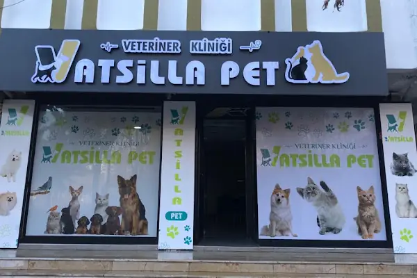 Vatsilla Pet Veteriner Kliniği