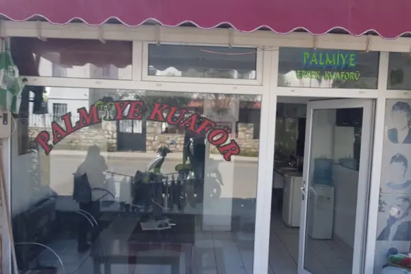 Palmiye Berber