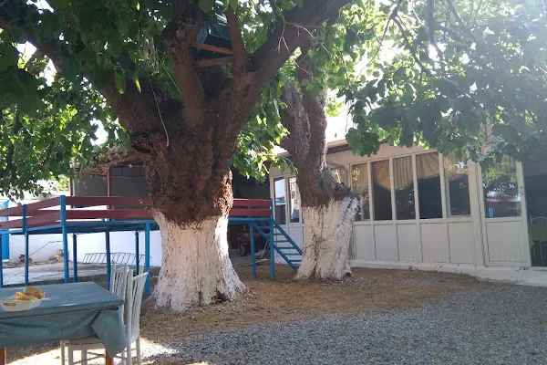 Dutaltı Aile Restoran