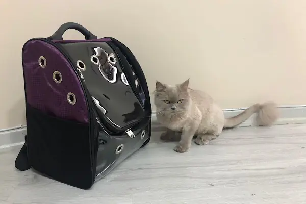 Pets&Vets Veteriner Kliniği