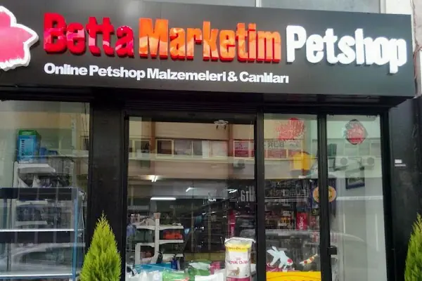 Betta Marketim Petshop