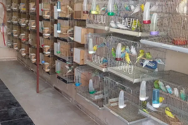 KERİM KUŞÇU PETSHOP