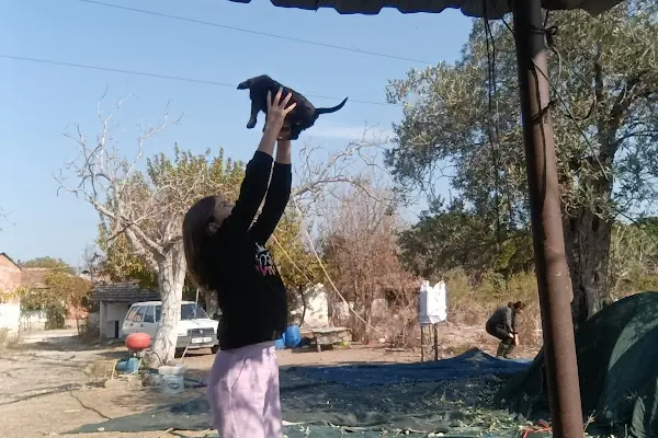 BAHÇE BADE