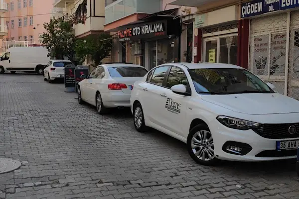 PALMİYE OTO KİRALAMA