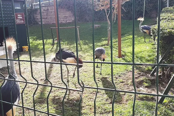Evcil Hayvanlar Parkı