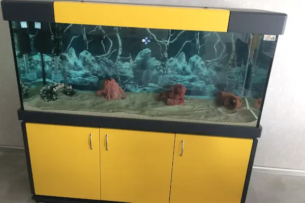 Yıldız Akvaryum & Petshop