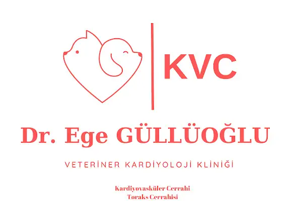 KVC Veteriner Kardiyoloji Kliniği