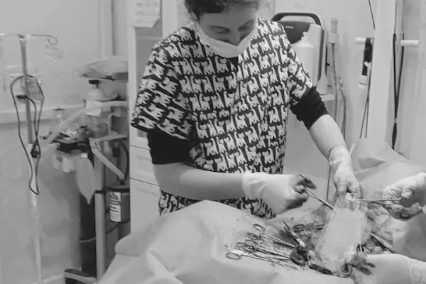 Petinyum Veteriner Kliniği