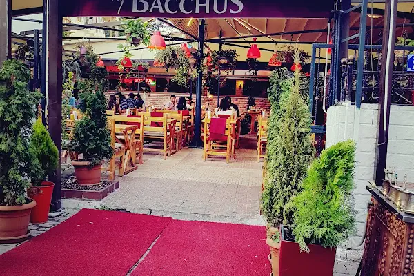 Bacchus Cafe Hamamönü