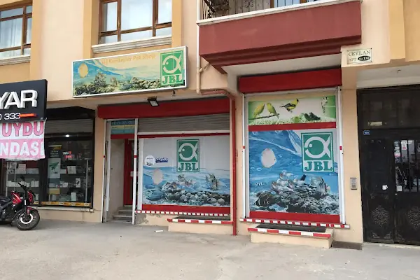 üç kardeşler karapürçek petshop