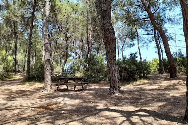 Çiçekli Tabiat Parkı