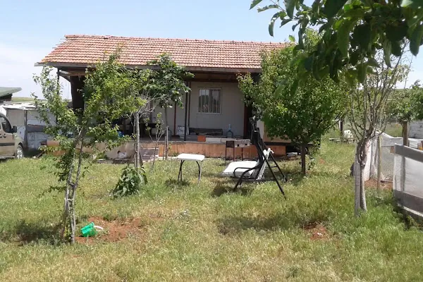 Haşim ustanın yeri
