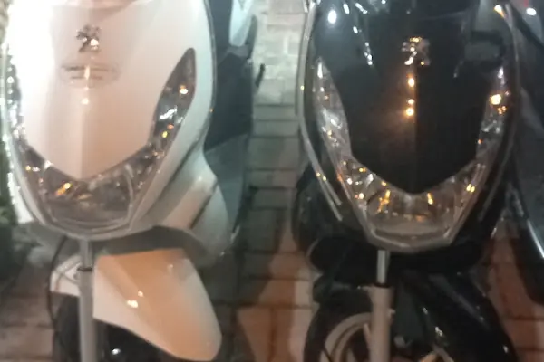 Seren Rent A Car