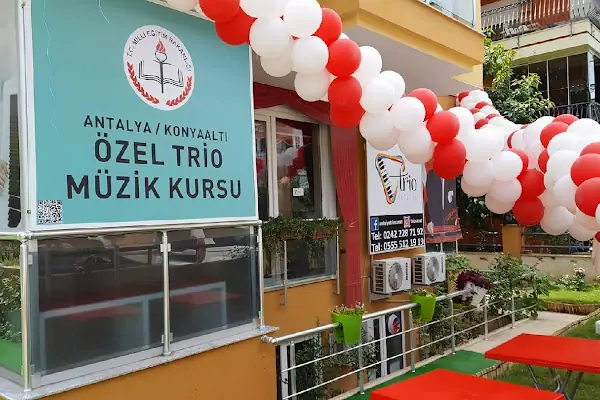 T.C. Meb Özel Trio Müzik Kursu