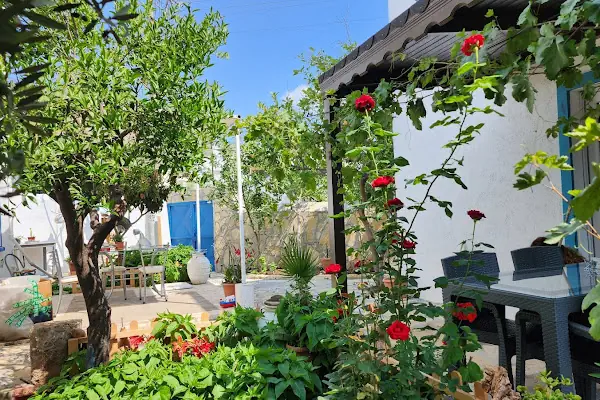 Alpi Apart Bodrum