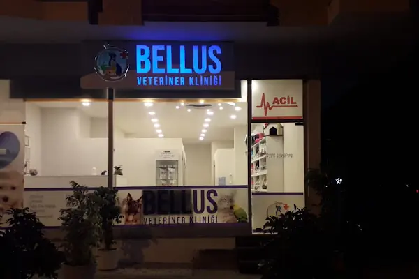 Bellus veteriner kliniği