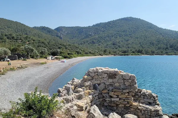 Kissebükü Koyu